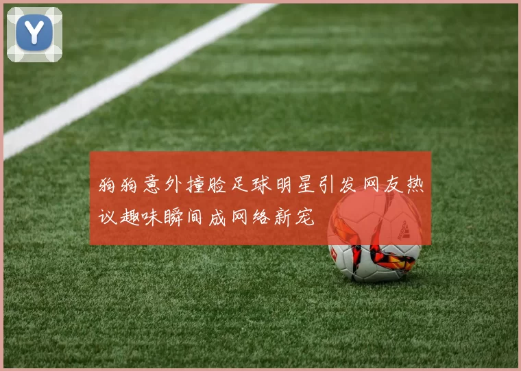 狗狗意外撞脸足球明星引发网友热议趣味瞬间成网络新宠