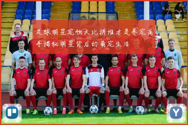 足球明星宠物大比拼谁才是养宠高手揭秘明星背后的萌宠生活