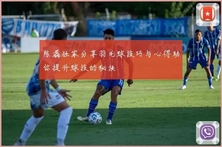 陈磊独家分享羽毛球技巧与心得助你提升球技的秘诀