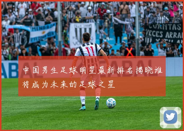 中国男生足球明星最新排名揭晓谁将成为未来的足球之星