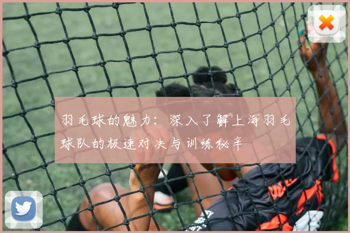 羽毛球的魅力：深入了解上海羽毛球队的极速对决与训练秘辛