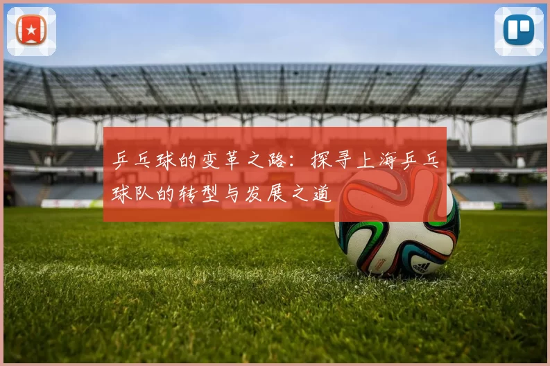 乒乓球的变革之路：探寻上海乒乓球队的转型与发展之道