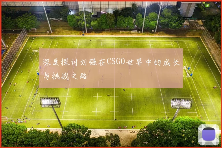 深度探讨刘强在CSGO世界中的成长与挑战之路