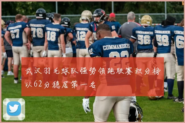 武汉羽毛球队强势领跑联赛积分榜以62分稳居第一名