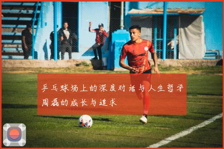 乒乓球场上的深度对话与人生哲学周磊的成长与追求